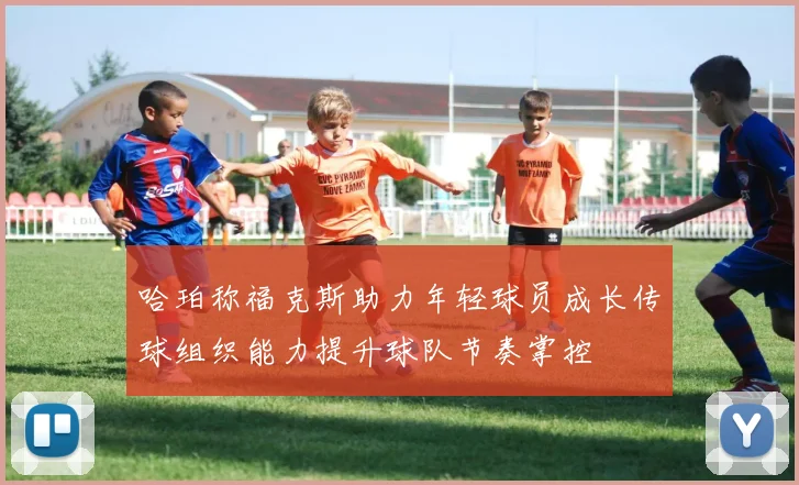 哈珀称福克斯助力年轻球员成长传球组织能力提升球队节奏掌控