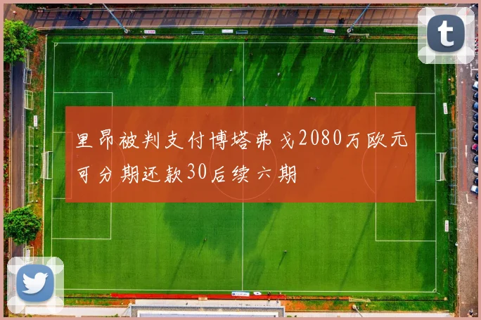 里昂被判支付博塔弗戈2080万欧元可分期还款30后续六期