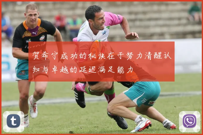 贺希宁成功的秘诀在于努力清醒认知与卓越的延迟满足能力